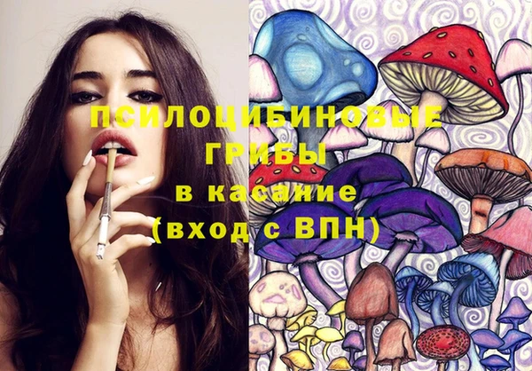 молекула духа Алексин