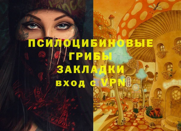 spice Алексеевка