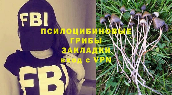 a pvp Алзамай