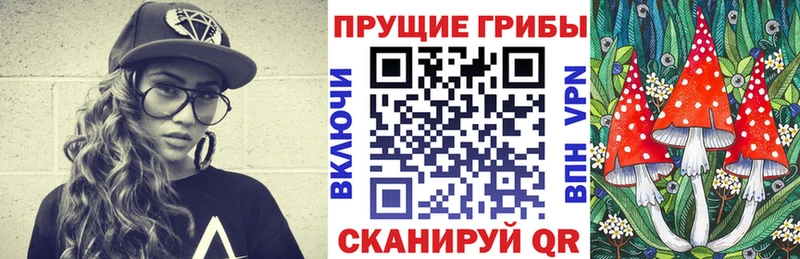 ссылка на мегу зеркало  Ивдель  Псилоцибиновые грибы прущие грибы 